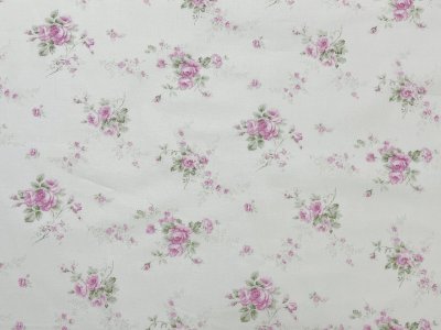 画像1: 可憐な薔薇　オフホワイト