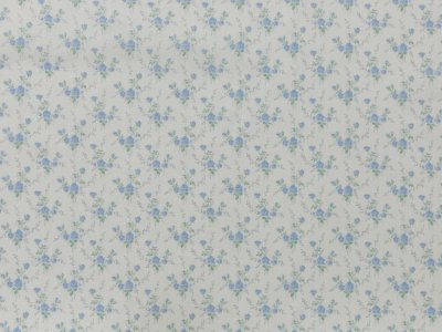 画像1: 小さな薔薇柄　ブルー